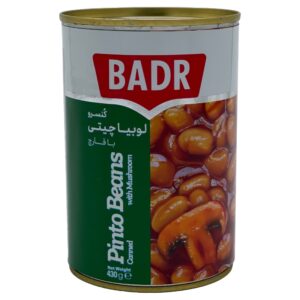 Badr – Pinto Beans with Mushroom (کنسرو لوبیا چیتی با قارچ بدر)